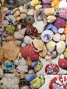 Seashore 1000-Piece Jigsaw Puzzle - Multicolor Seashells